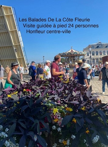 Visite guidée Honfleur